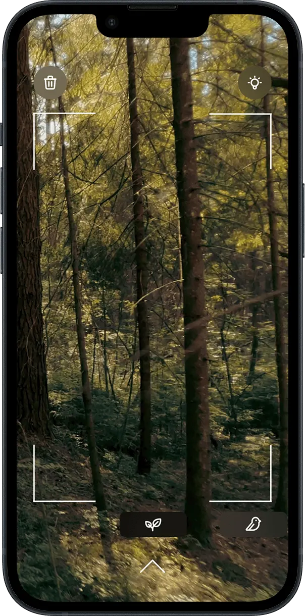 Smartphone mit der NaturKompass-App zur Pflanzen- und Tierbestimmung